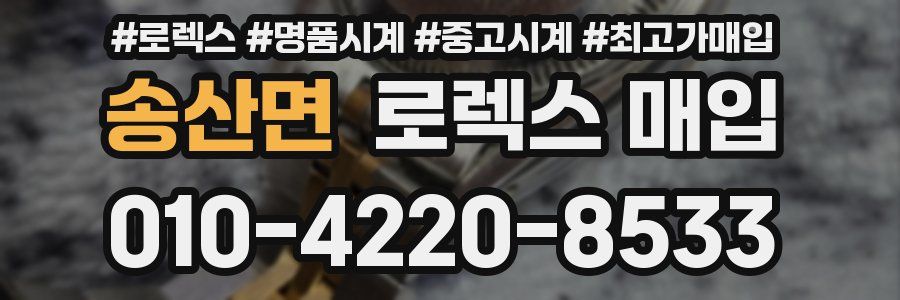 송산면 로렉스 매입