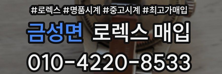 금성면 로렉스 매입