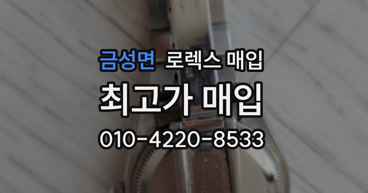금성면 로렉스 매입