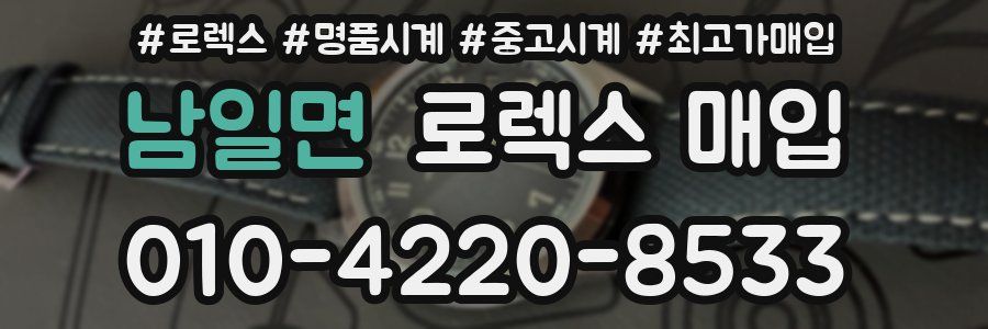 남일면 로렉스 매입