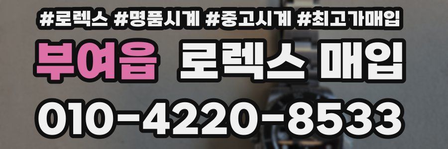 부여읍 로렉스 매입