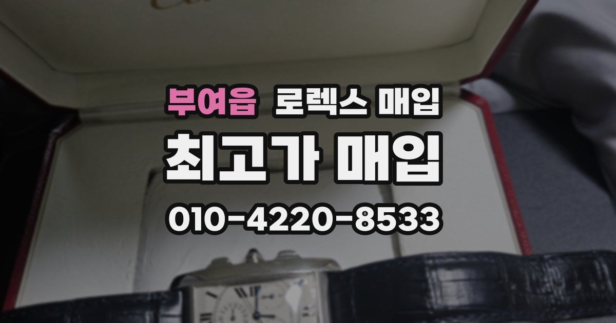 부여읍 로렉스 매입