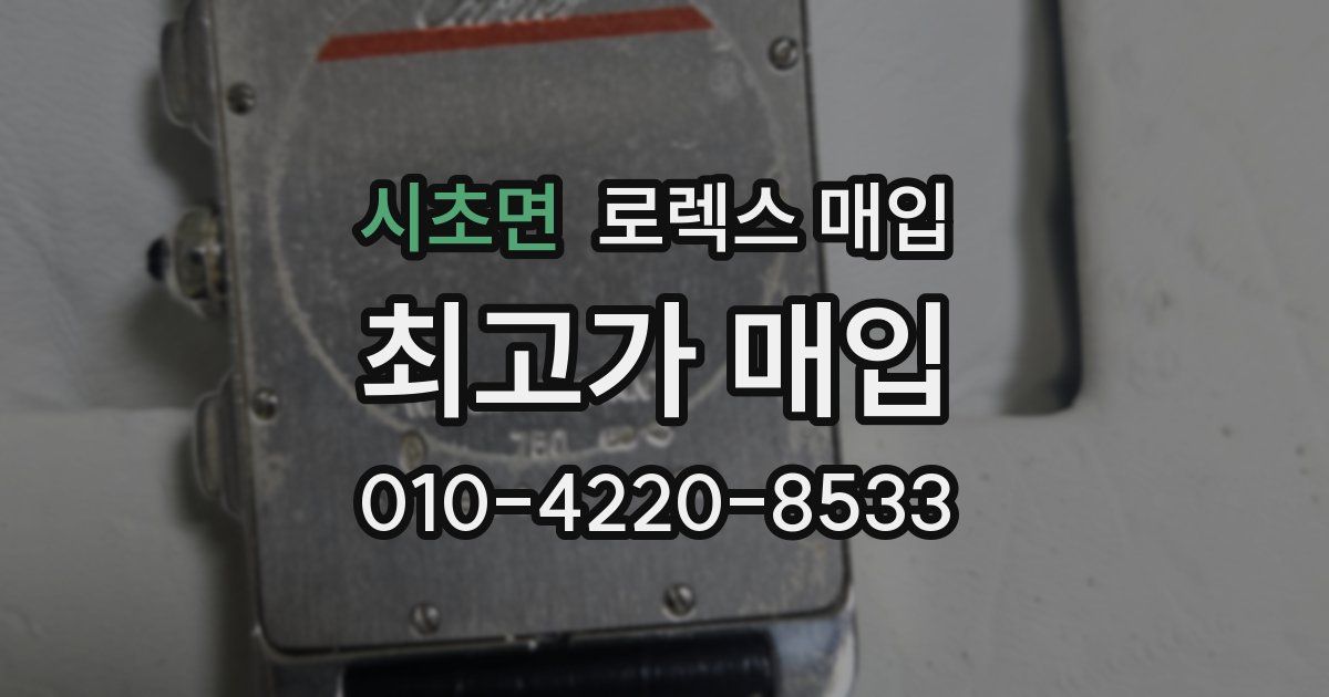 시초면 로렉스 매입