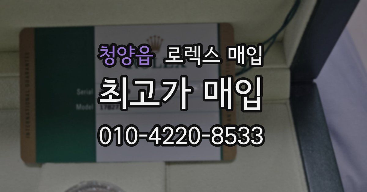 청양읍 로렉스 매입