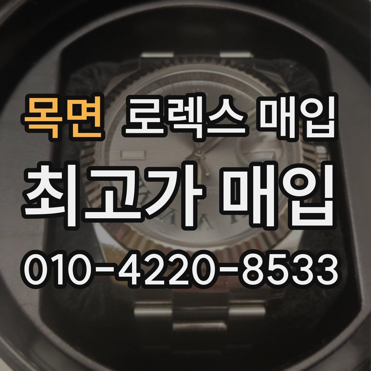 목면 로렉스 매입