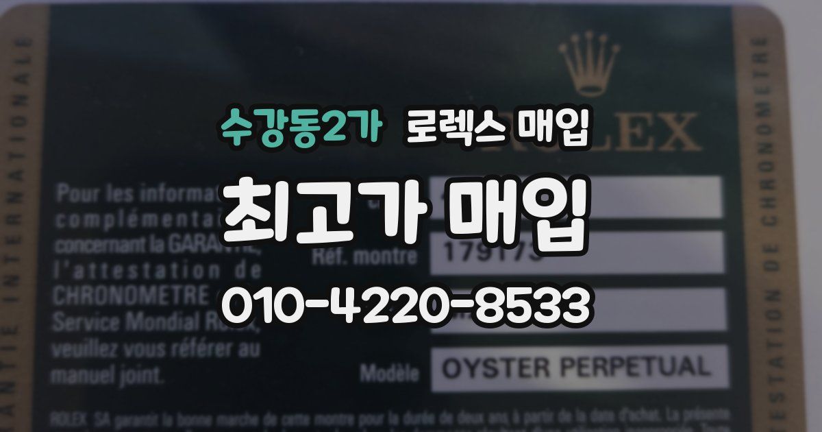 수강동2가 로렉스 매입