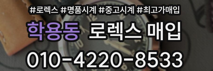 학용동 로렉스 매입