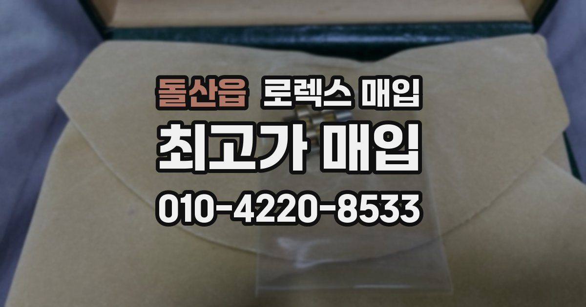 돌산읍 로렉스 매입