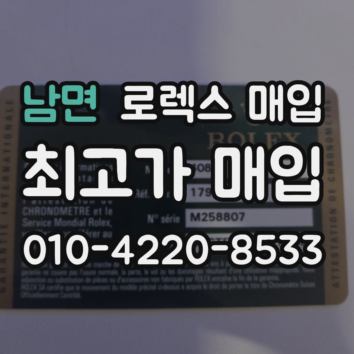 남면 로렉스 매입