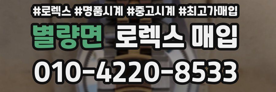 별량면 로렉스 매입