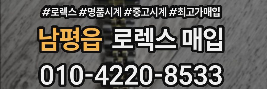 남평읍 로렉스 매입