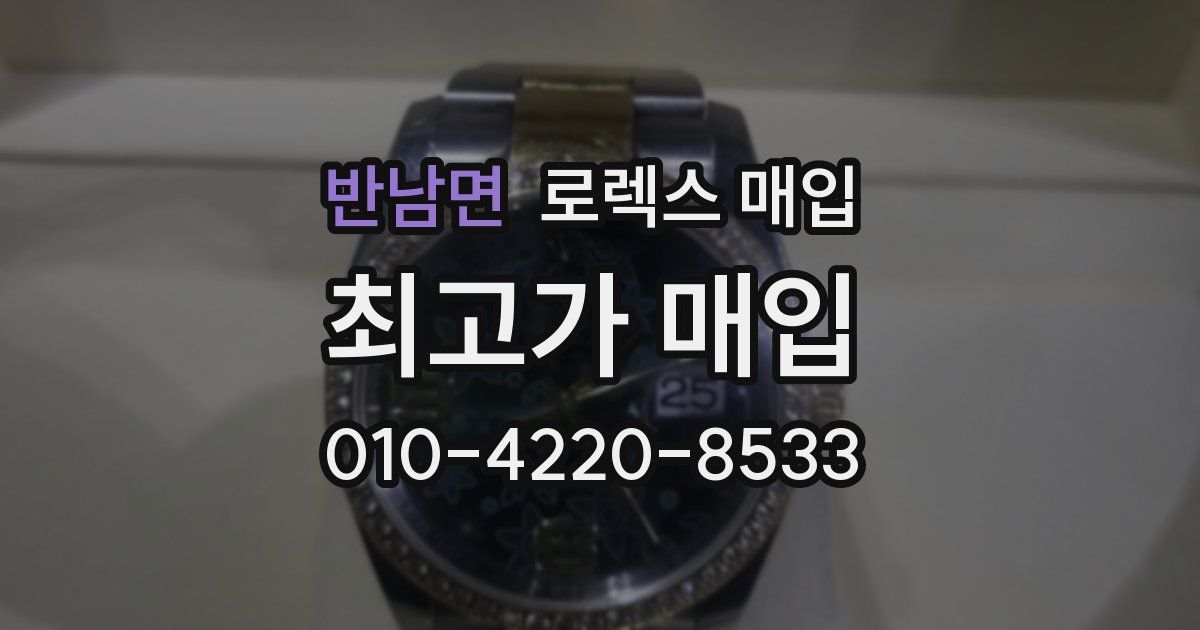 반남면 로렉스 매입