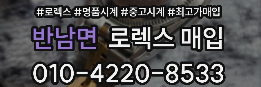 반남면 로렉스 매입