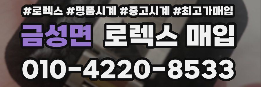 금성면 로렉스 매입