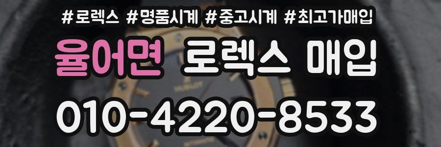 율어면 로렉스 매입
