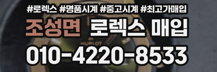 조성면 로렉스 매입