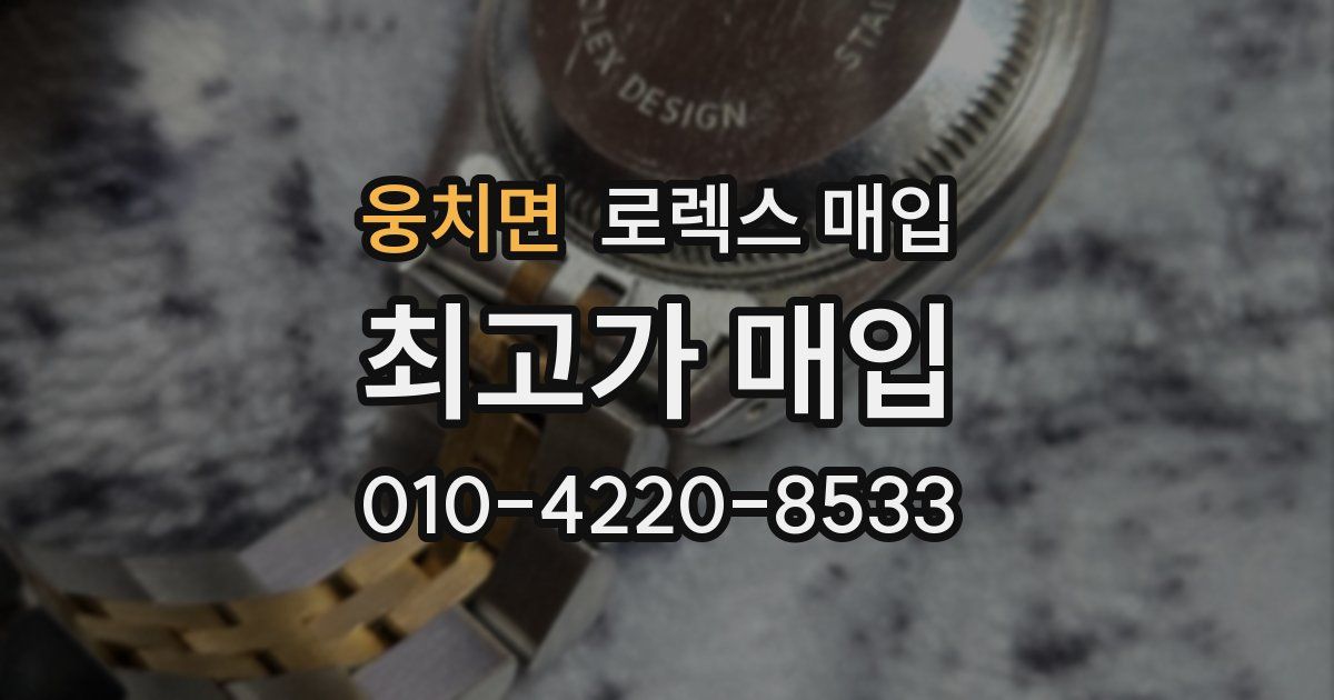 웅치면 로렉스 매입