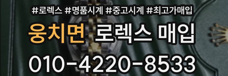 웅치면 로렉스 매입