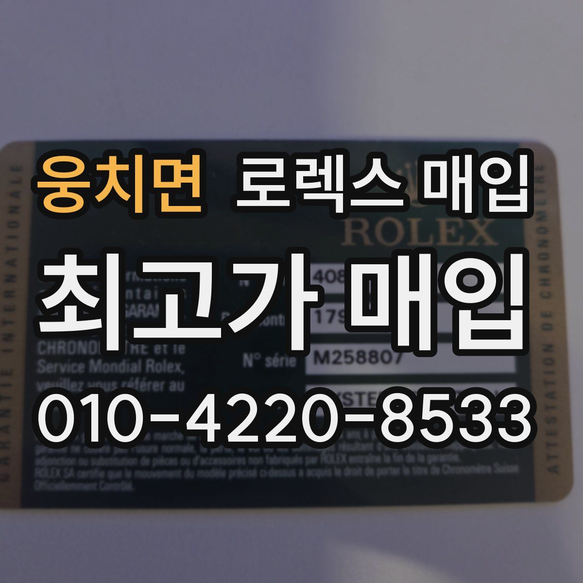 웅치면 로렉스 매입