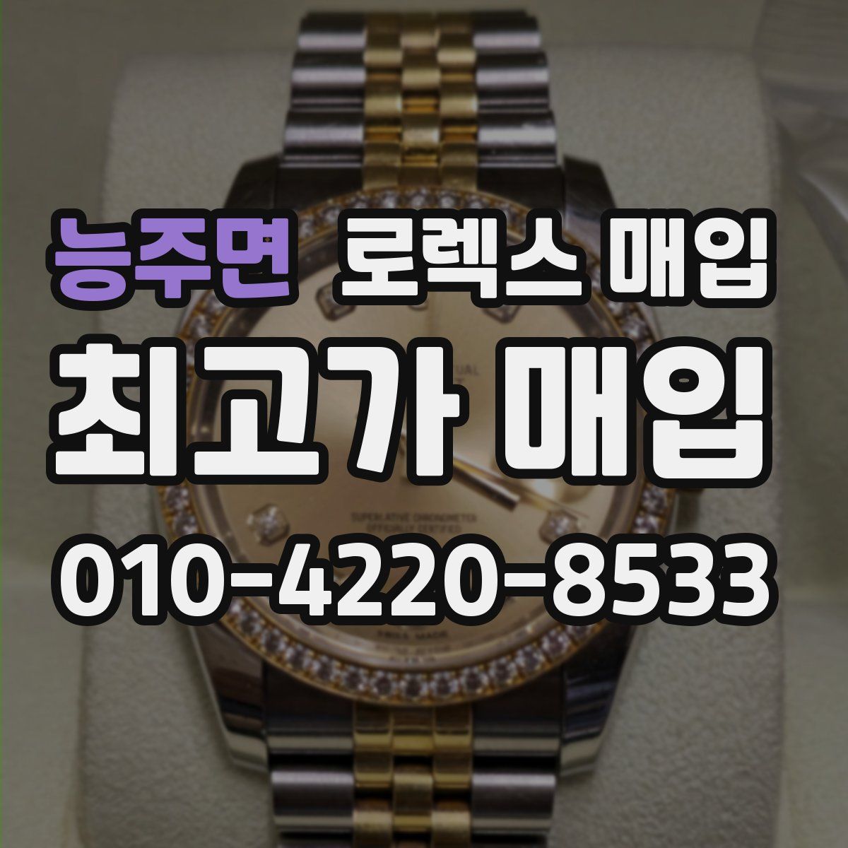 능주면 로렉스 매입