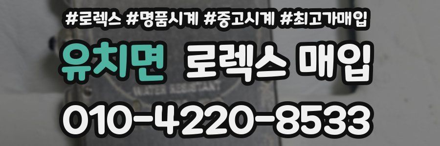 유치면 로렉스 매입