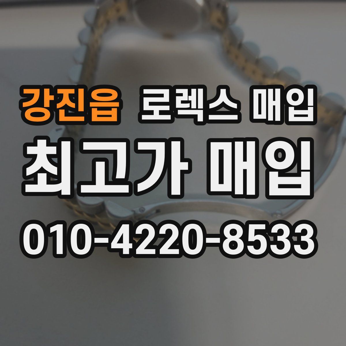 강진읍 로렉스 매입