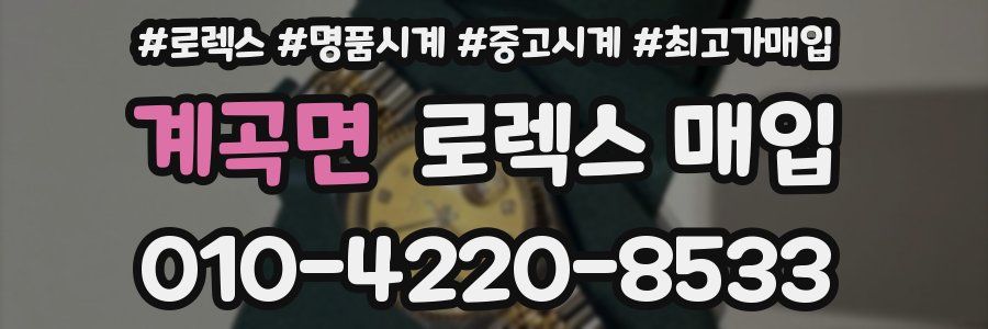 계곡면 로렉스 매입