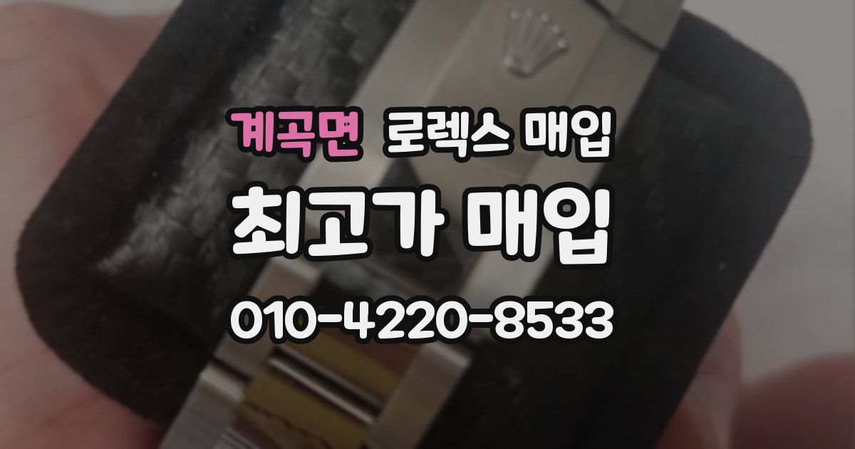 계곡면 로렉스 매입