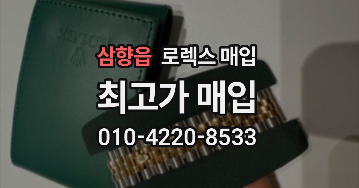 삼향읍 로렉스 매입