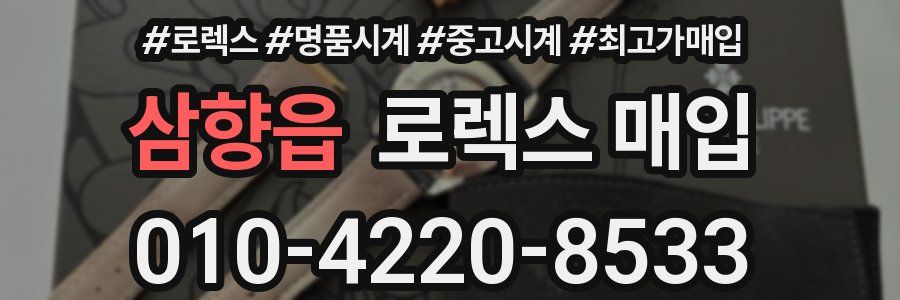 삼향읍 로렉스 매입