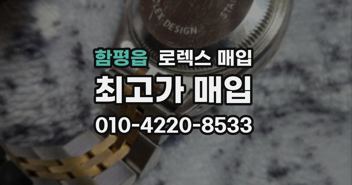 함평읍 로렉스 매입