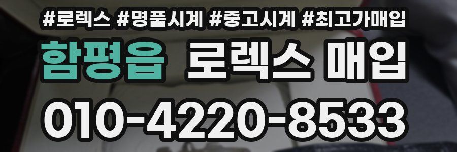 함평읍 로렉스 매입