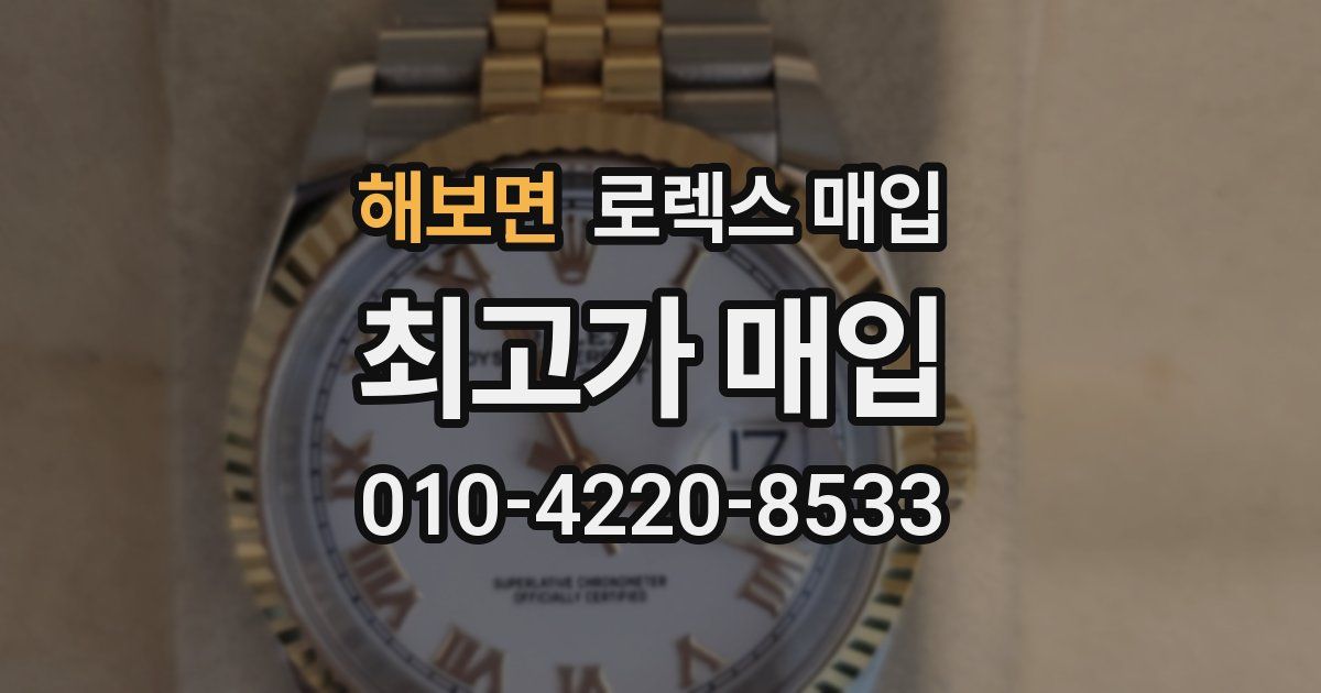 해보면 로렉스 매입