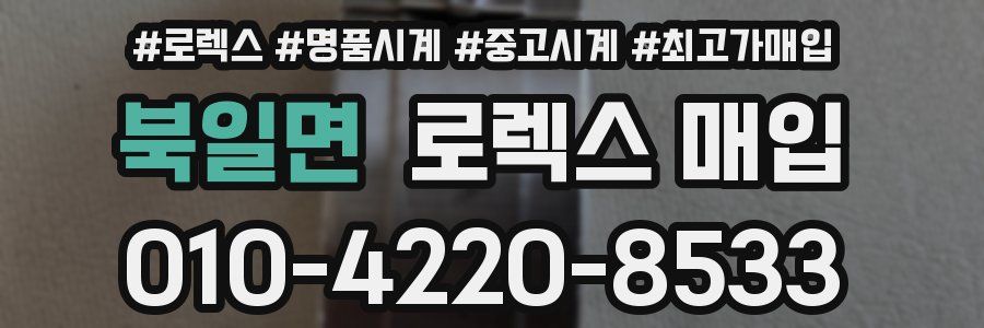 북일면 로렉스 매입