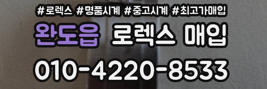 완도읍 로렉스 매입