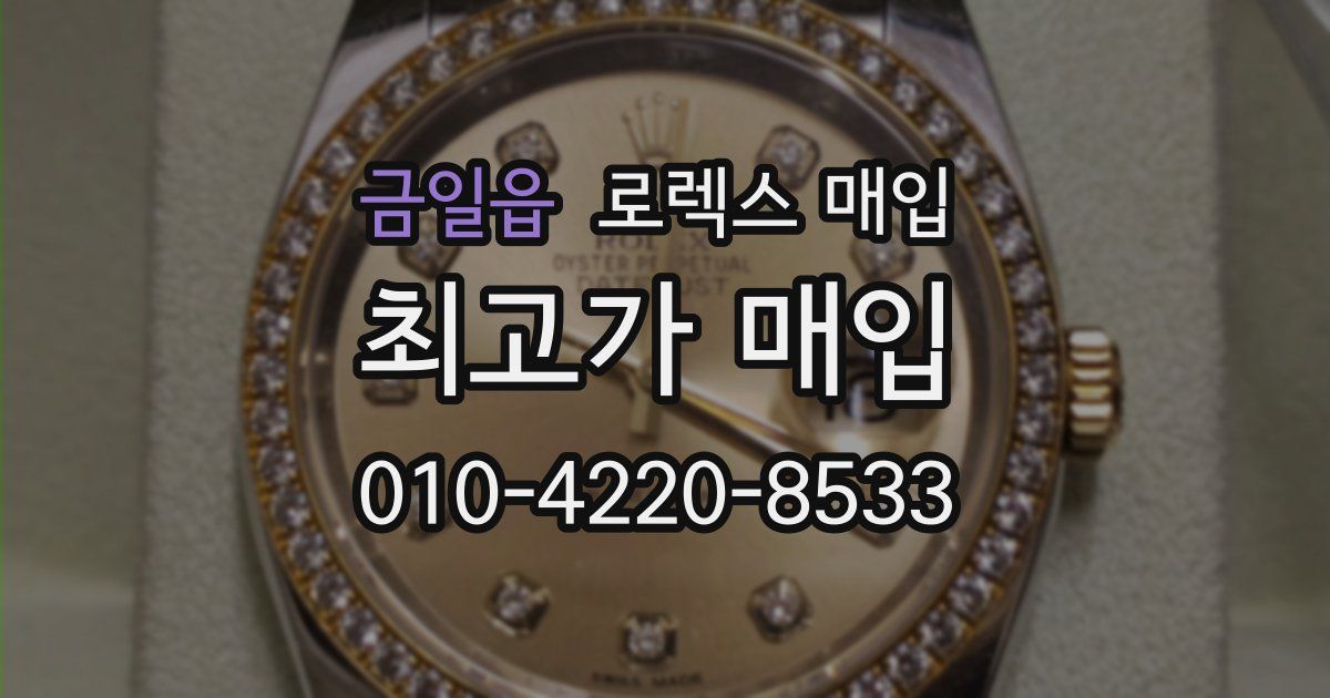 금일읍 로렉스 매입