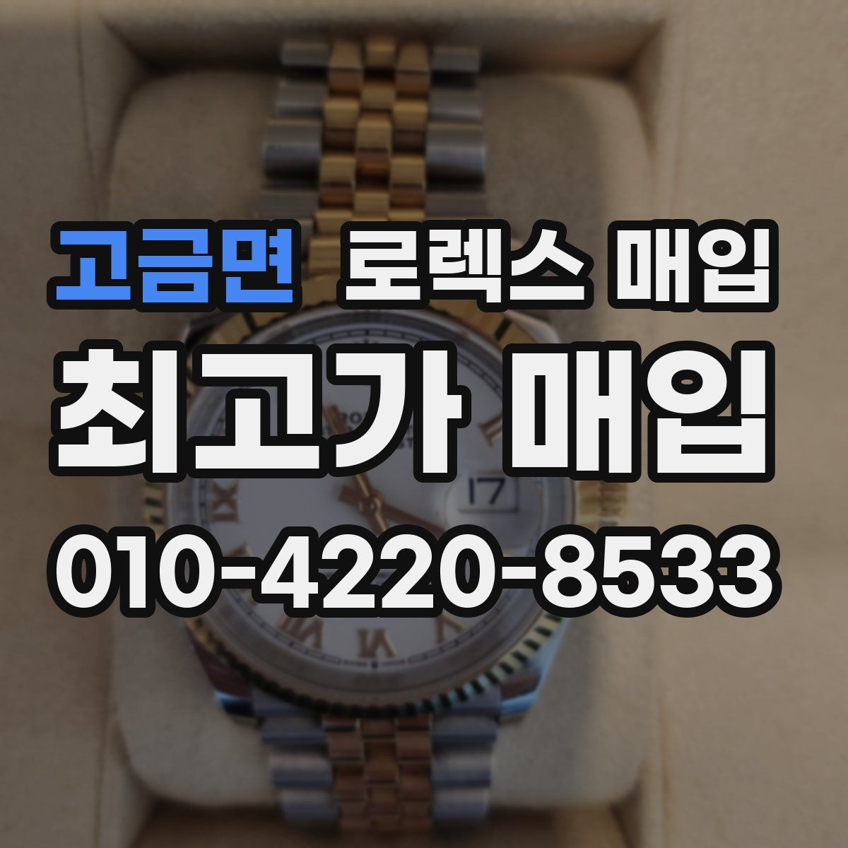 고금면 로렉스 매입