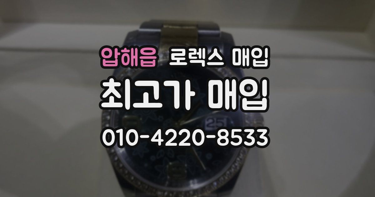 압해읍 로렉스 매입
