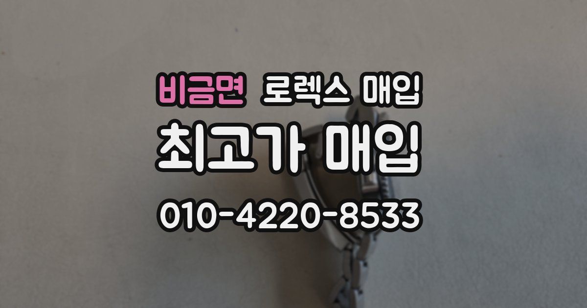 비금면 로렉스 매입