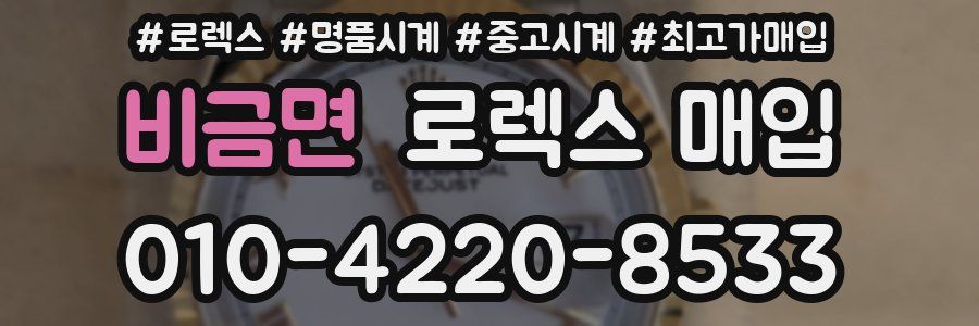 비금면 로렉스 매입