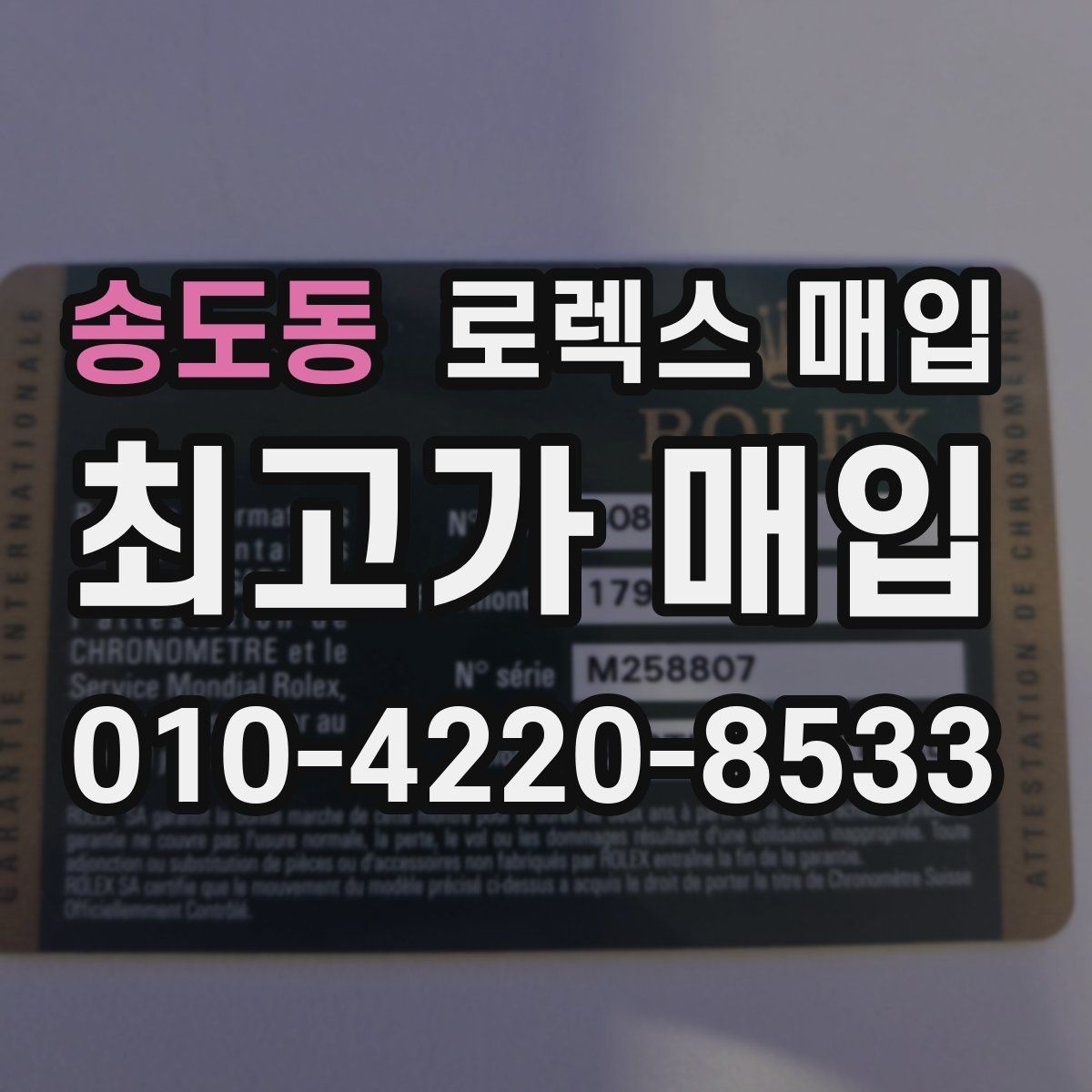 송도동 로렉스 매입