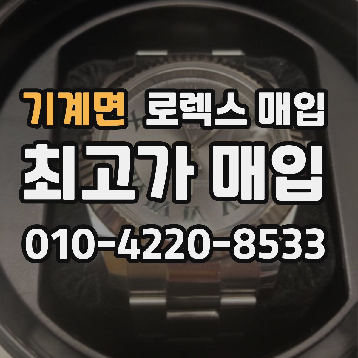 기계면 로렉스 매입