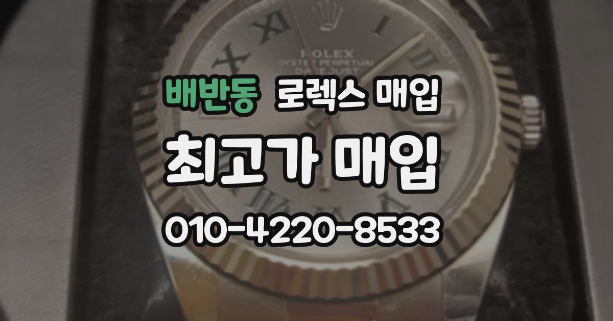 배반동 로렉스 매입