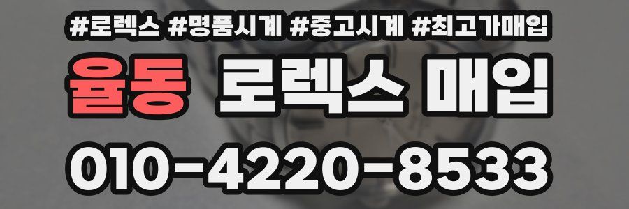 율동 로렉스 매입
