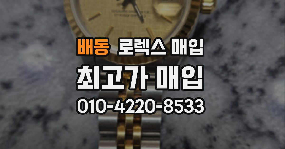 배동 로렉스 매입