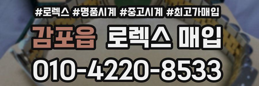 감포읍 로렉스 매입