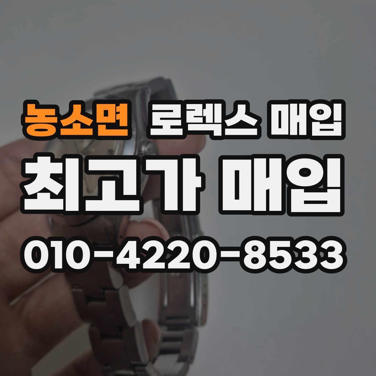 농소면 로렉스 매입