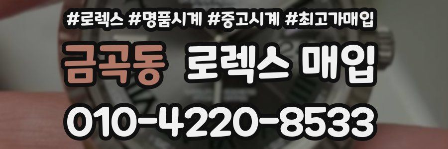 금곡동 로렉스 매입