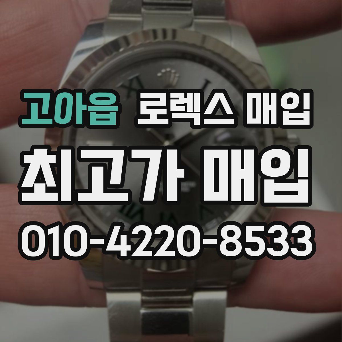 고아읍 로렉스 매입