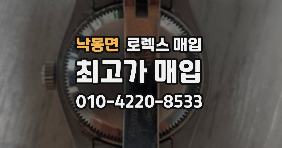 낙동면 로렉스 매입
